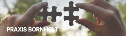 Screenshot of Praxis Bornholt
